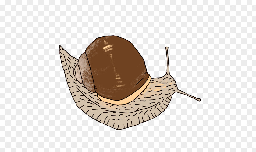 Giant African Snail Hat PNG