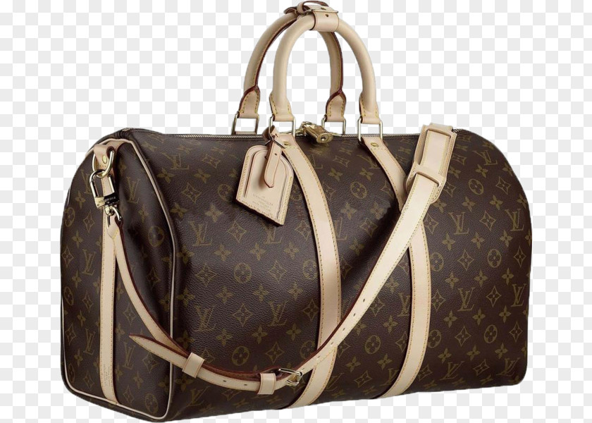 Lv Bags Louis Vuitton Handbag Wallet Baggage PNG