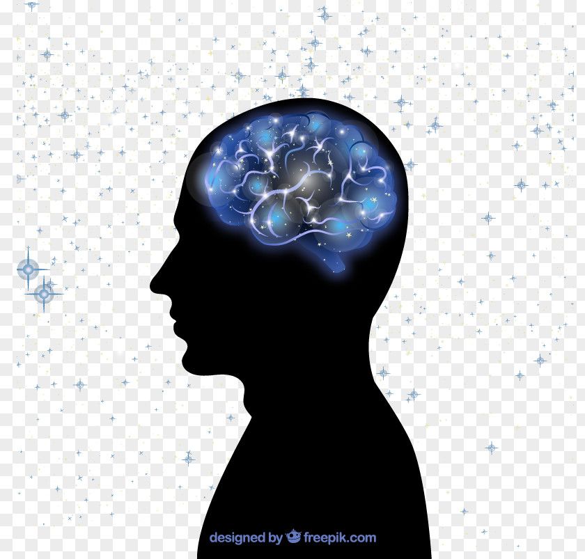 Man Brain Vector Material Download Human Research PNG