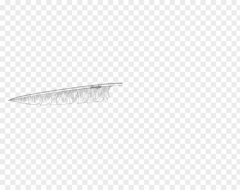 Plumas Product Design Feather Angle PNG