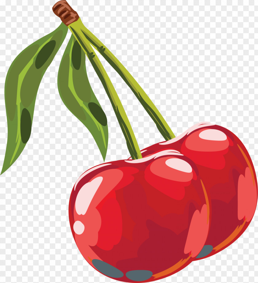 Red Hand Painted Cherry Clip Art PNG