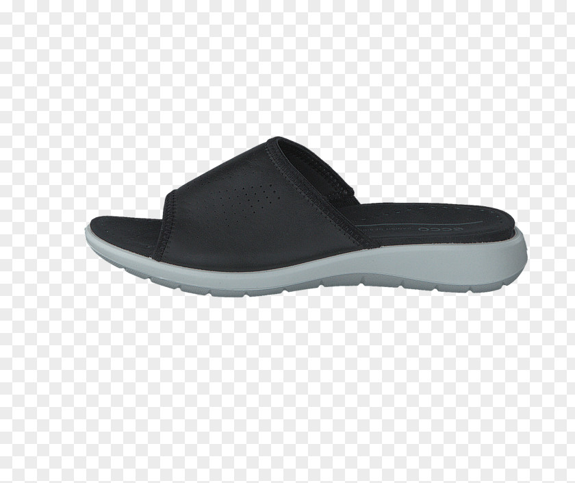 Sandal Slipper ECCO Shoe Leather PNG