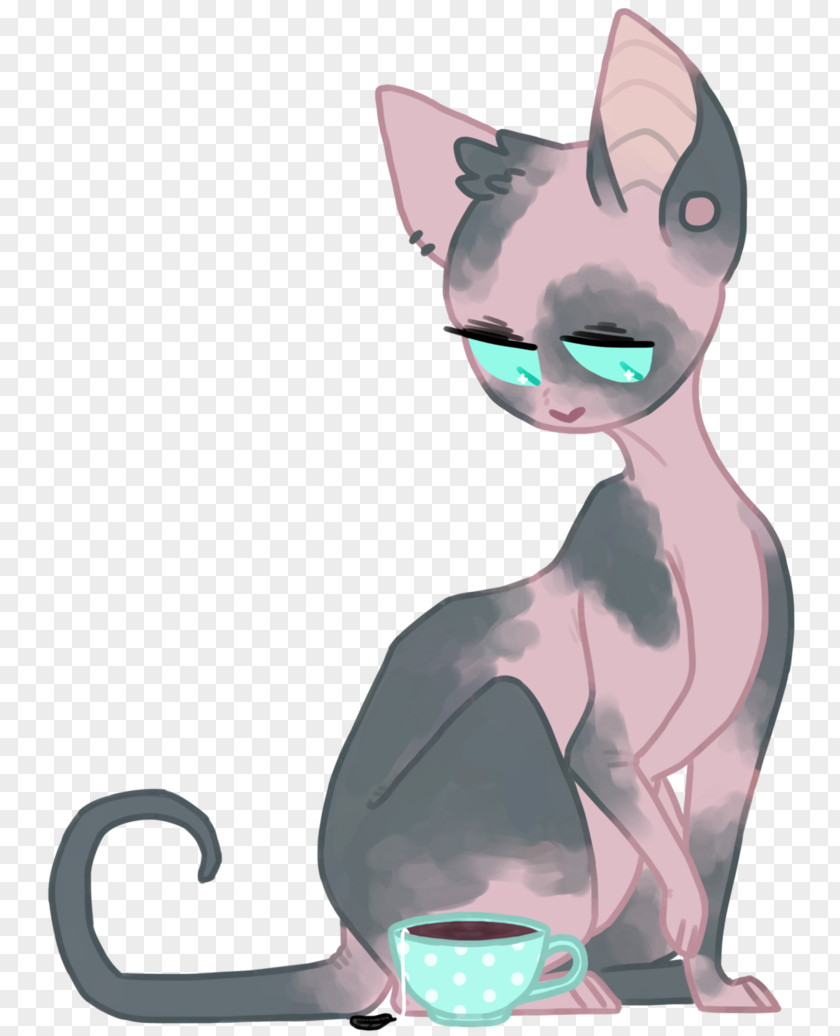 Tea Posters Whiskers Korat Domestic Short-haired Cat Clip Art Illustration PNG