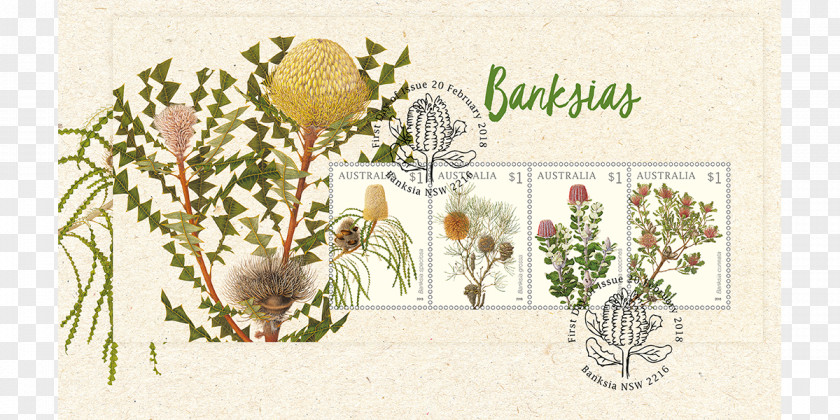 Australia Floral Design Postage Stamps Banksia Philately PNG