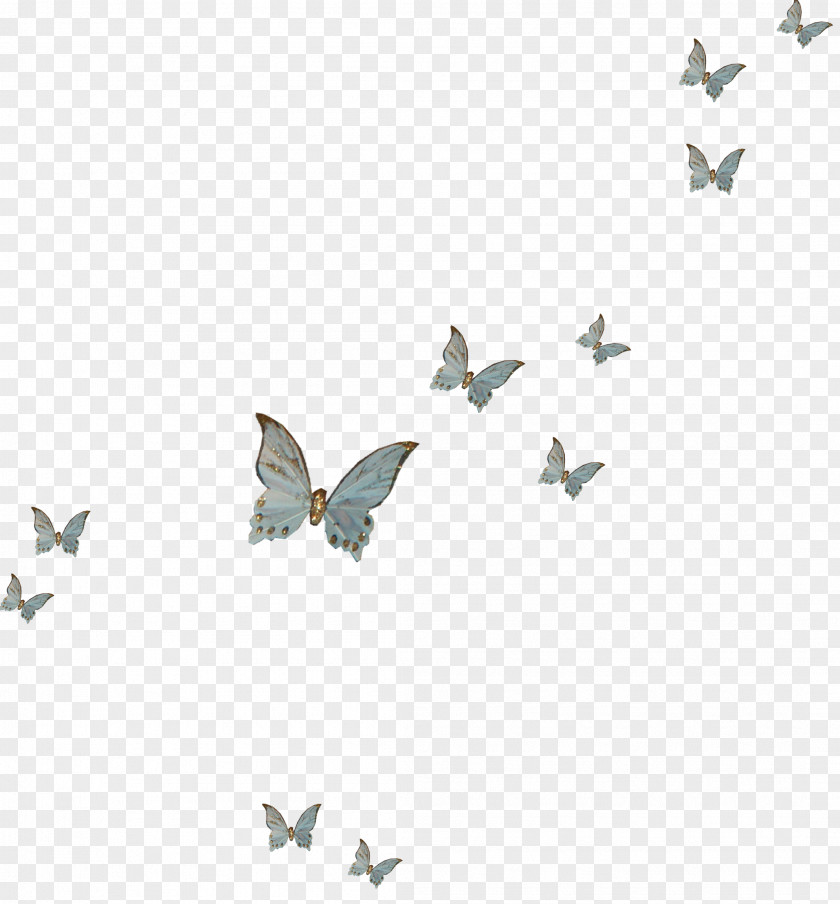 Butterfly China Graphics Desktop Wallpaper Illustration Pattern Font PNG