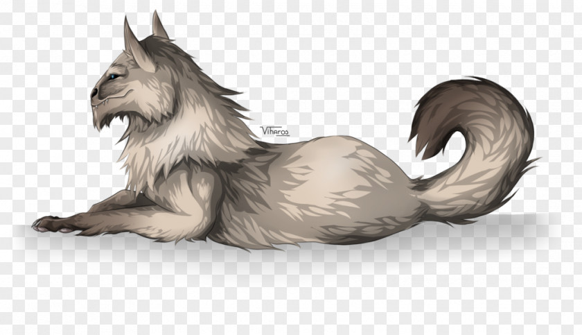 Cat Whiskers Drawing Fox Fur PNG