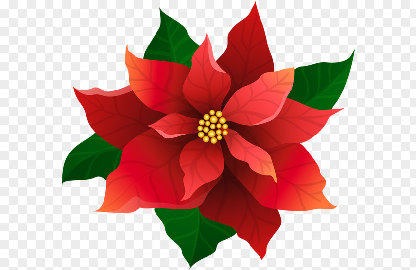 Christmasss Red Flower Poinsettia Christmas Clip Art PNG