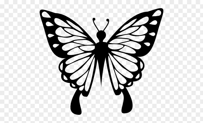 Delicate Vector Butterfly Drawing Color PNG