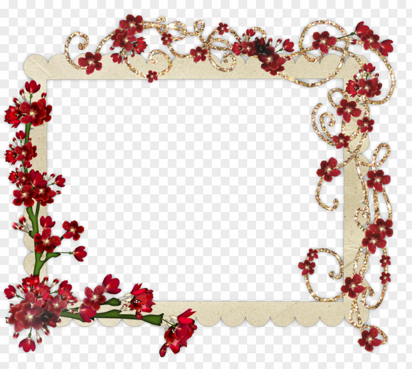 Frame Picture Frames Photography Molding Design Classic PNG