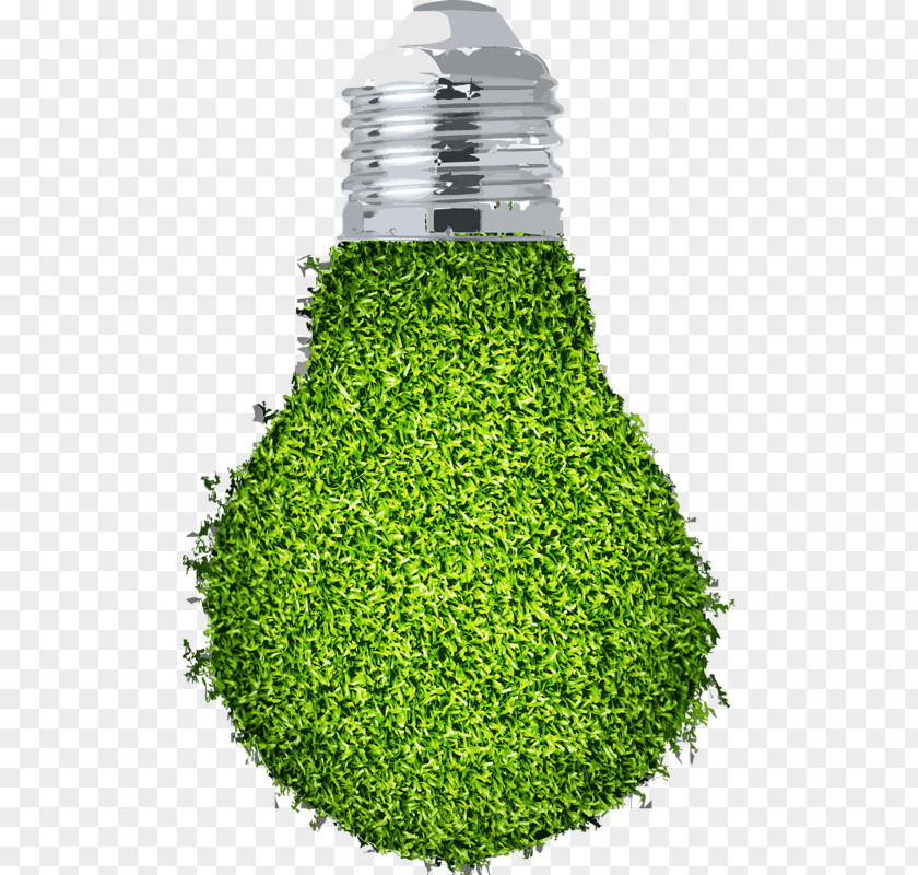 Green Light Bulb Renewable Energy Conservation Illustration PNG