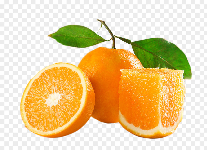Orange Juice Oil Lemon Squeezer PNG