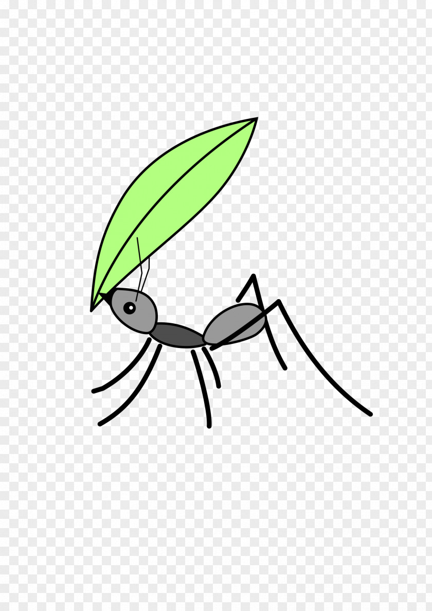 Ants Ant Insect Clip Art PNG