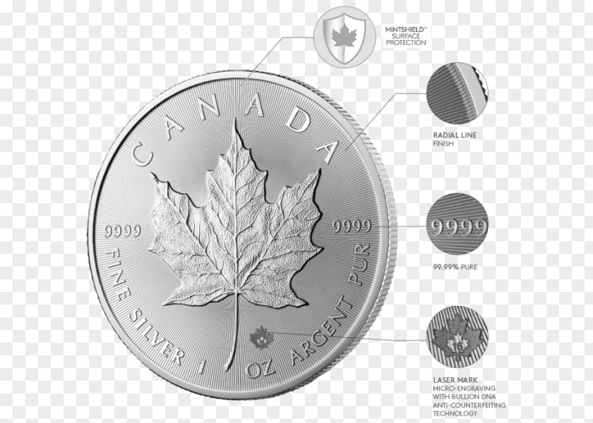 Coin Silver Canadian Maple Leaf PNG