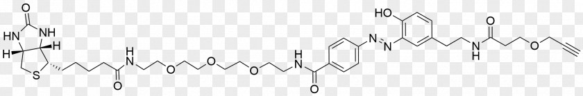 Crizotinib ALK Inhibitor Anaplastic Lymphoma Kinase Alectinib Brigatinib PNG