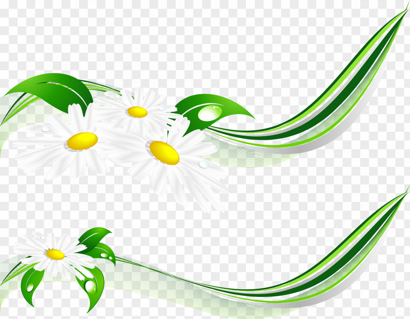 Daisies Raster Graphics Clip Art PNG