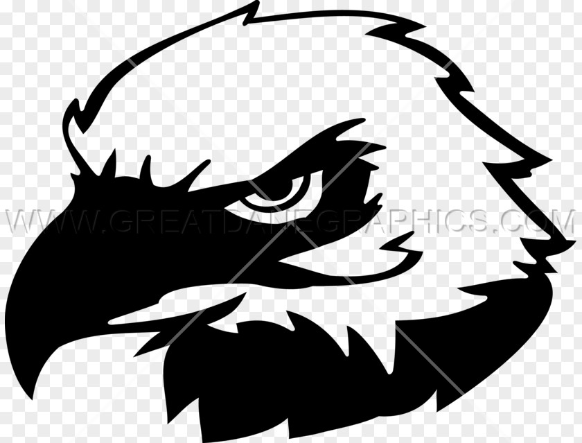 Eagle Head Bald Clip Art PNG
