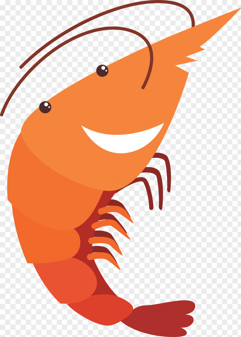 Orange PNG