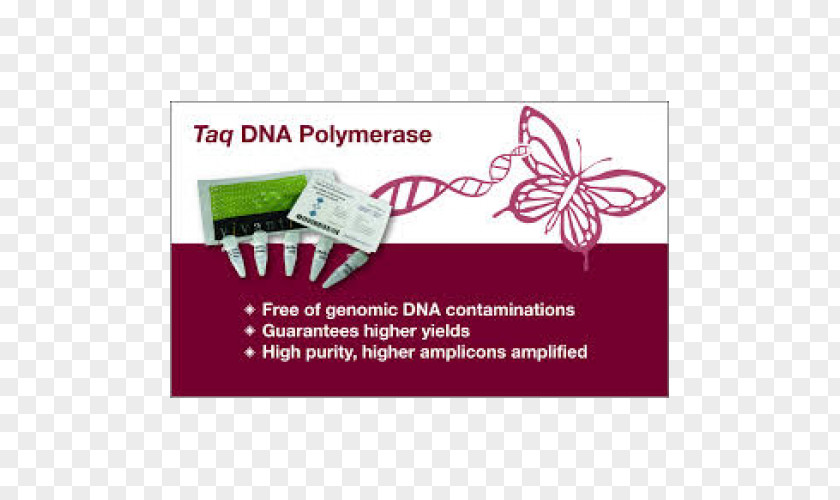 Taq Polymerase DNA Nucleic Acid PNG