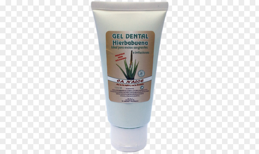 Toothpaste L'aloe Vera : Toutes Les Vertus D'un Produit Miracle Cream PNG