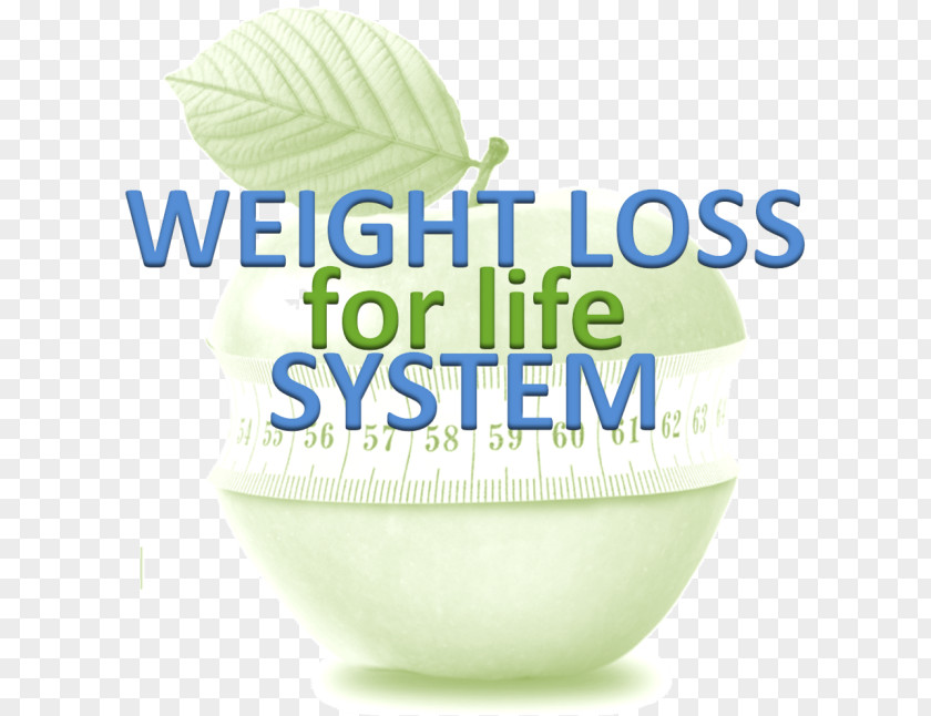 Weight Loss Company Nutrition Nervous System PNG