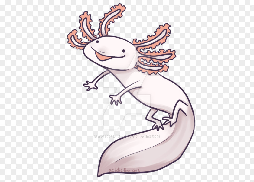 Axolotl Drawing Line Art DeviantArt PNG