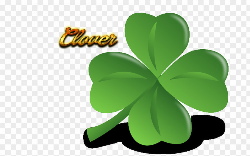 Clover Flower Leaf Product Design Shamrock Graphics PNG