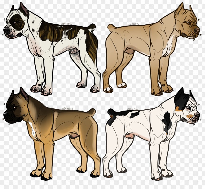 Dog Ancient Breeds PNG