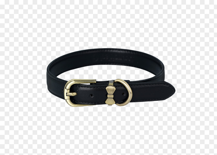 Dog Collar Cat Adjule PNG