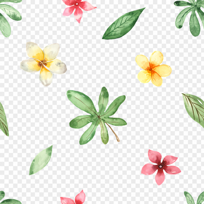 Flower Leaf Petal Flora Plants PNG