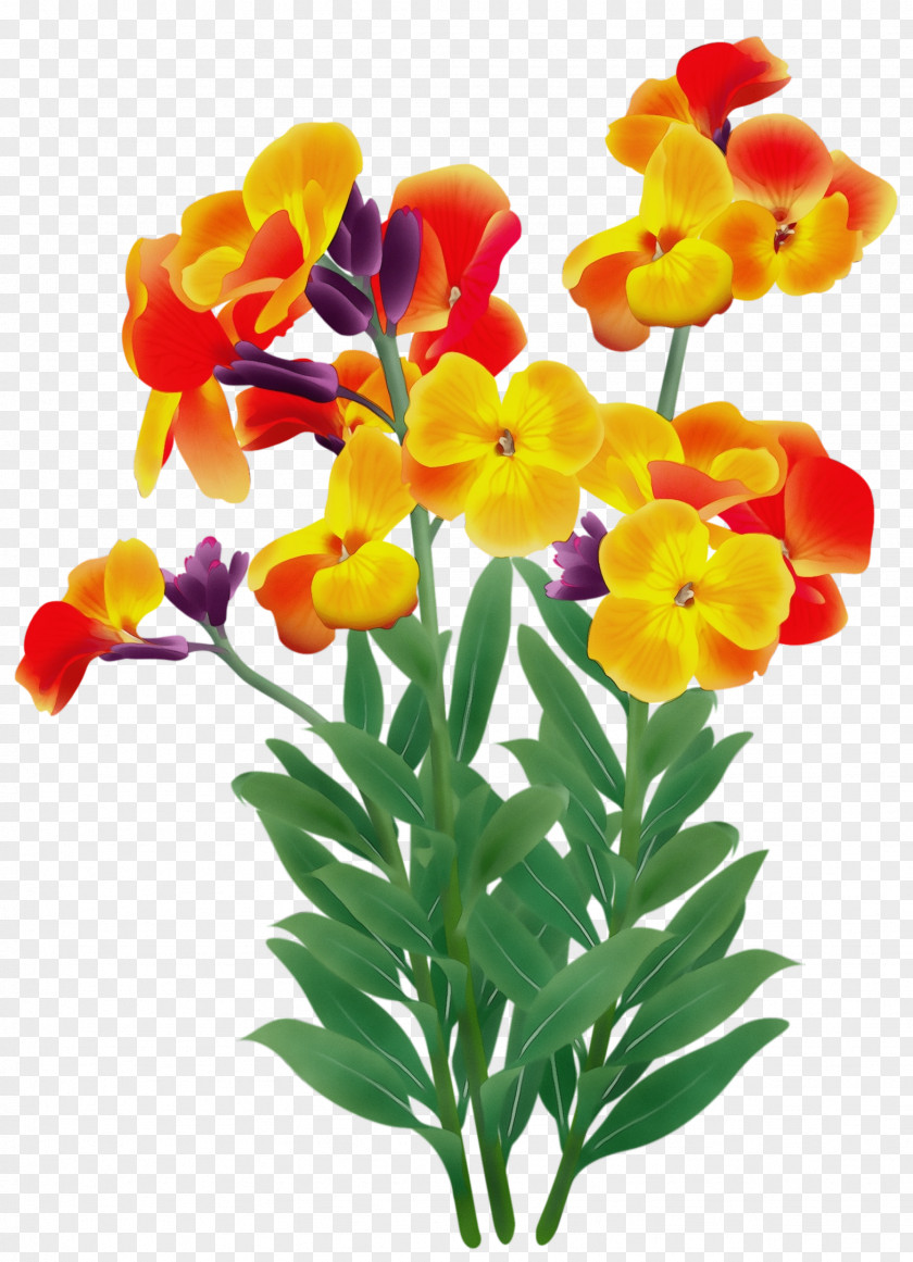 Artificial Flower Pedicel Watercolor PNG