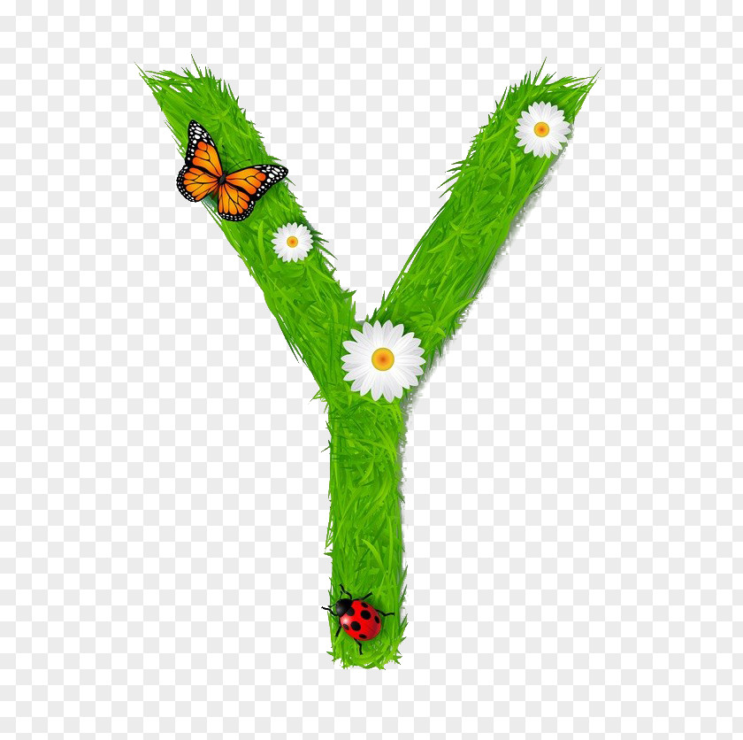 Environmentally Friendly Letter Y Royalty-free Alphabet Illustration PNG