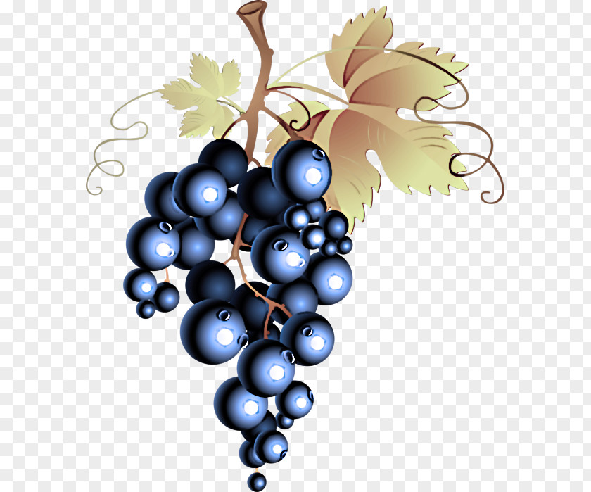 Grape Fruit Grapevine Family Berry Plant PNG