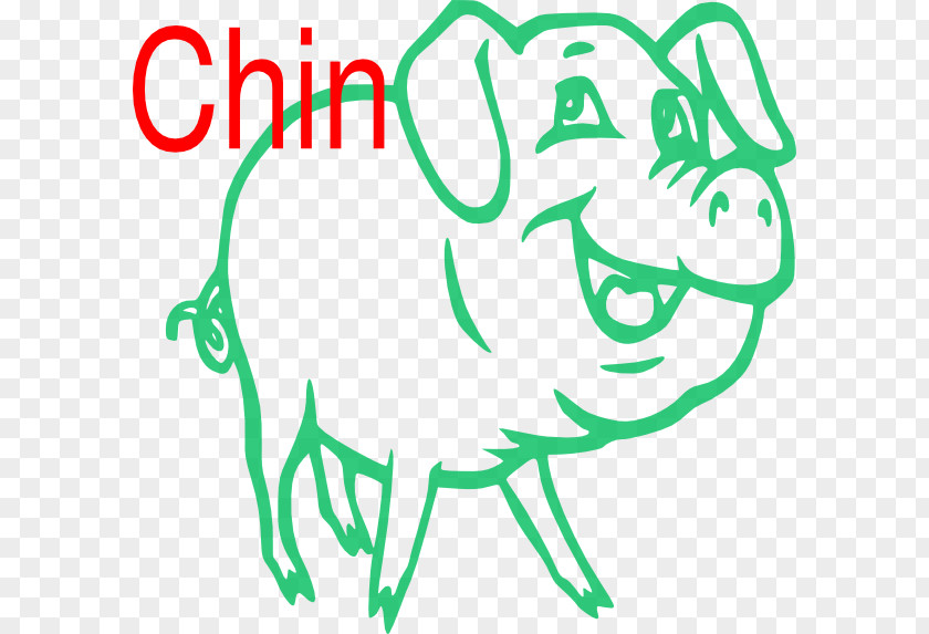 Pig R Bacon Domestic Ham Pork PNG
