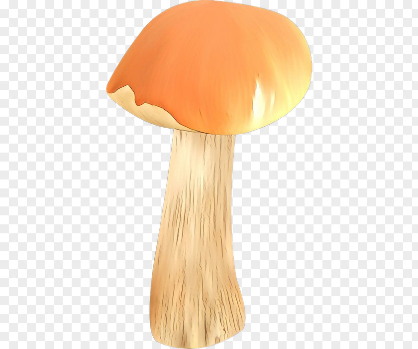 Product Design Mushroom Orange S.A. PNG