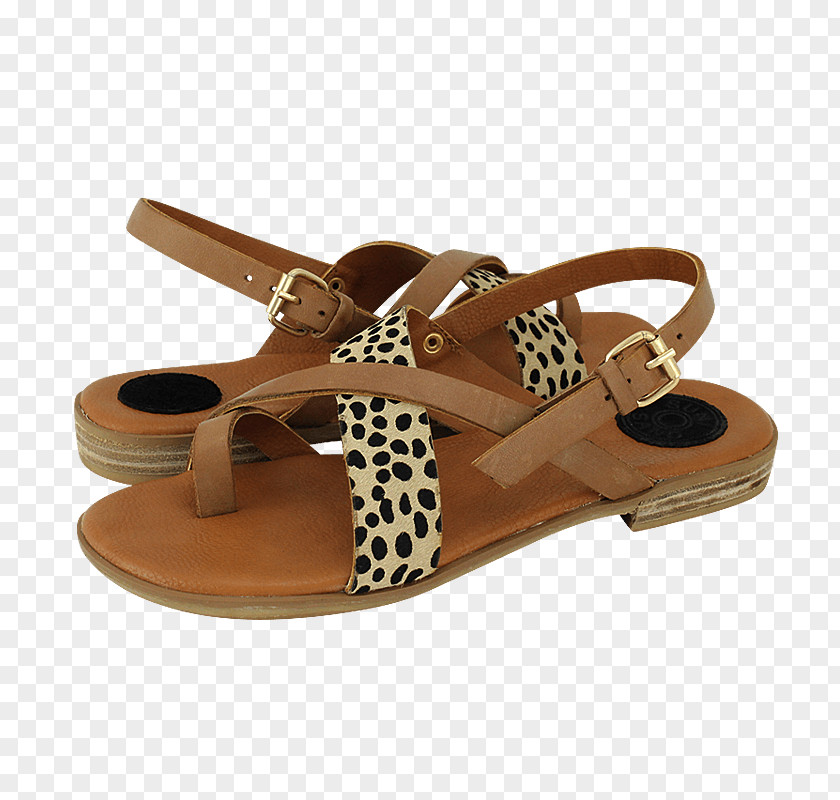 Sandal Slide Shoe Walking PNG