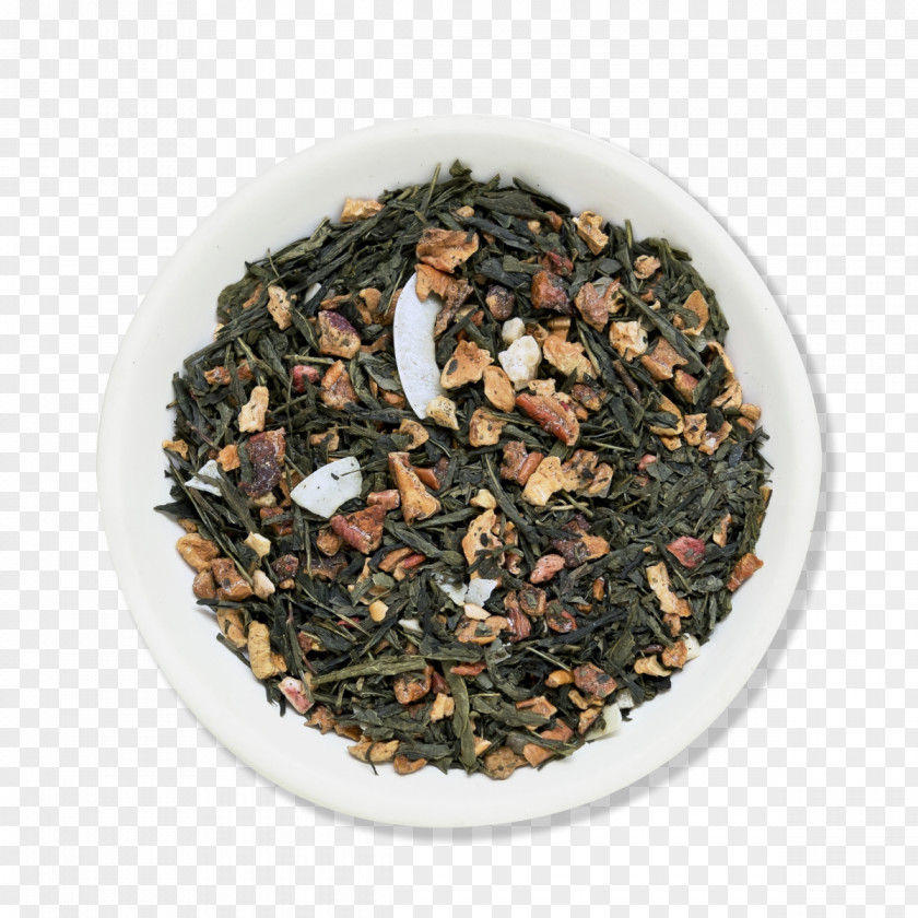 Traços Nilgiri Tea Oolong Plant PNG