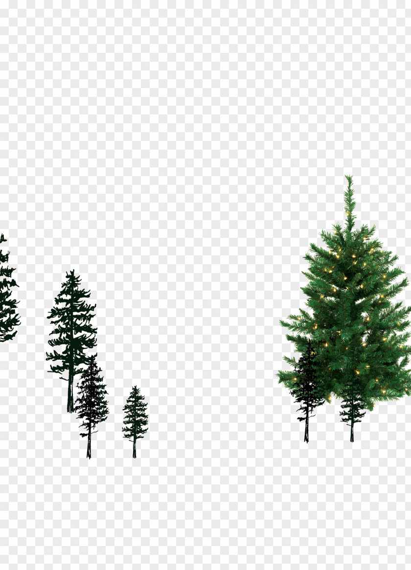 Christmas Tree Spruce Pine Ornament Fir PNG