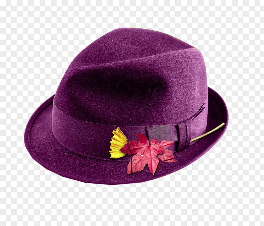 Purple Hat Clip Art PNG