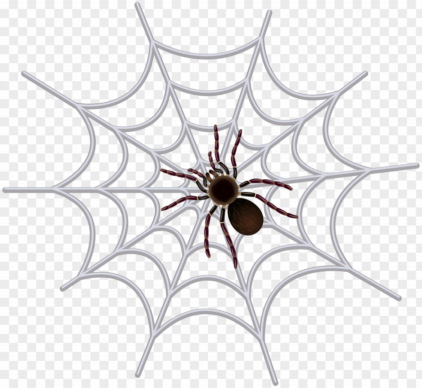 Spider Web Transparent Clip Art Image PNG