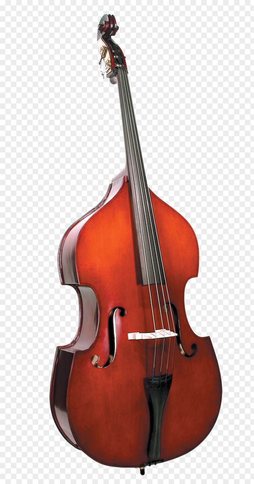 Bass Double Guitar Violin Cello Viola PNG