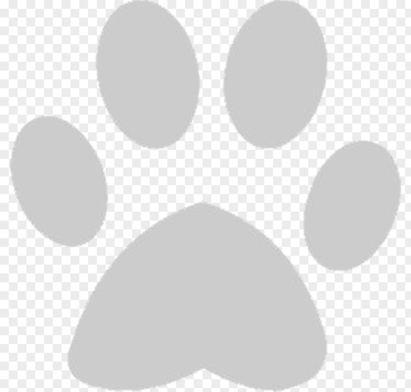 Gray Footprints Dog Paw Cat Footprint PNG