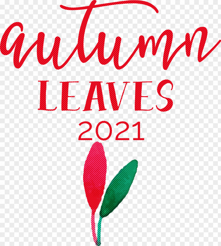 Autumn Leaves Autumn Fall PNG