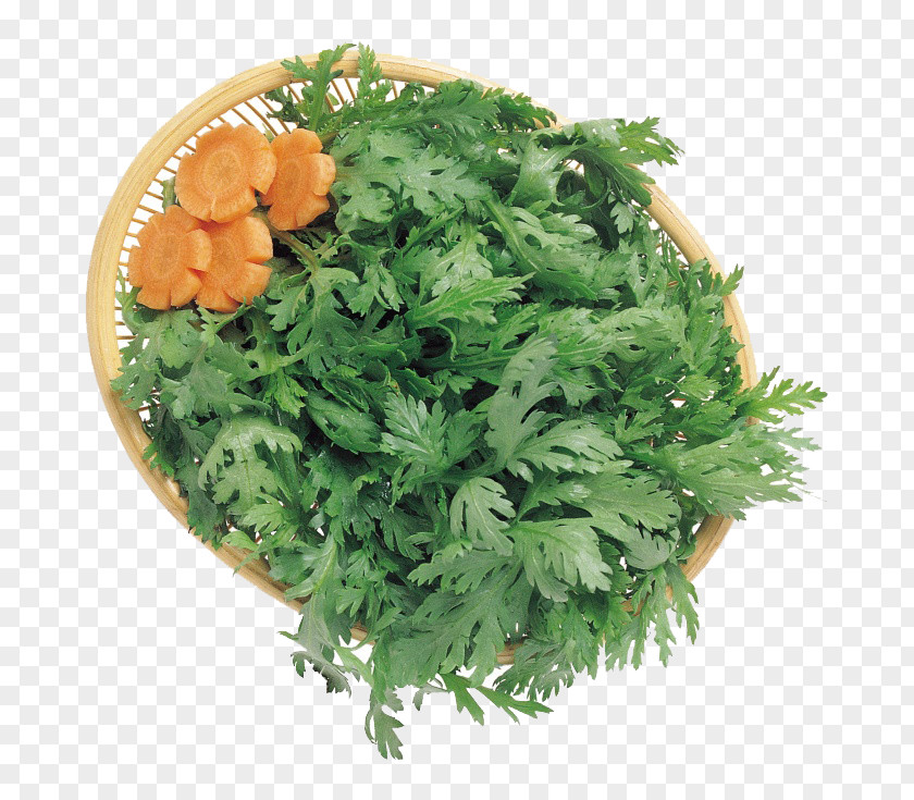 Green Vegetable Ingredients Coriander Parsley Carrot Clip Art PNG