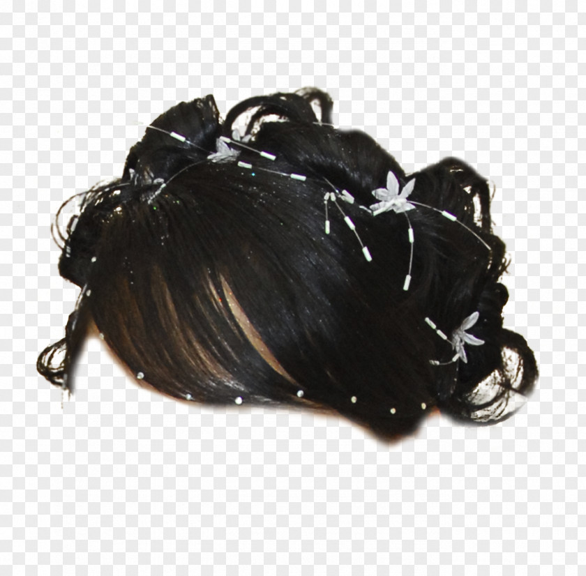Hairstyle Capelli Wig Albom PNG