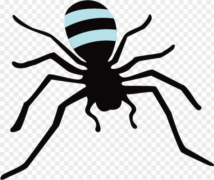 Pest Head Spider Insect Black Line Arachnid PNG