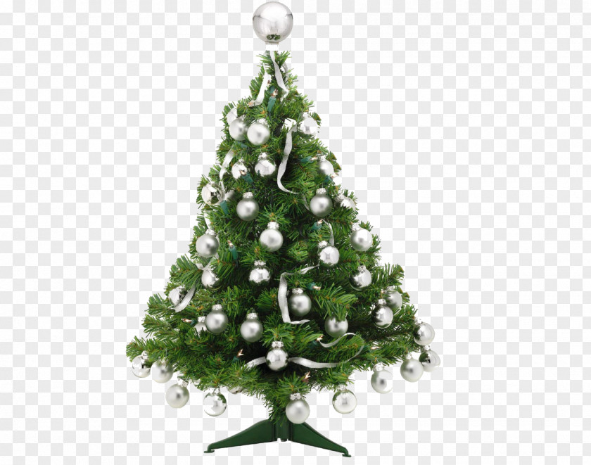 Christmas Tree Cascading Style Sheets Gift Card PNG