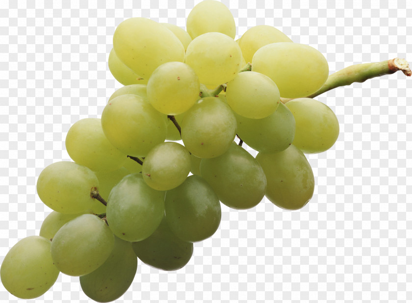 Green Grape Image Common Vine Sultana Juice Seedless Fruit PNG