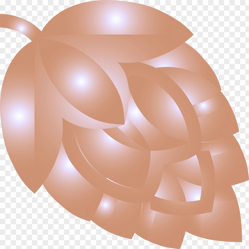 Hops PNG