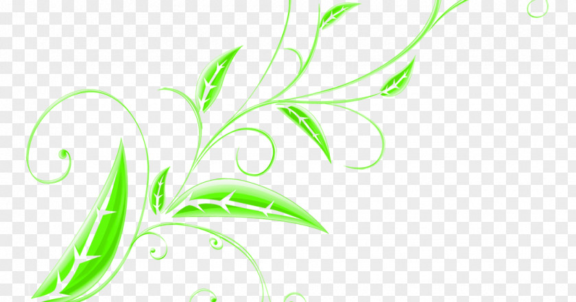 Lily Of The Field Background Clip Art Leaf Flower Floral Design PNG