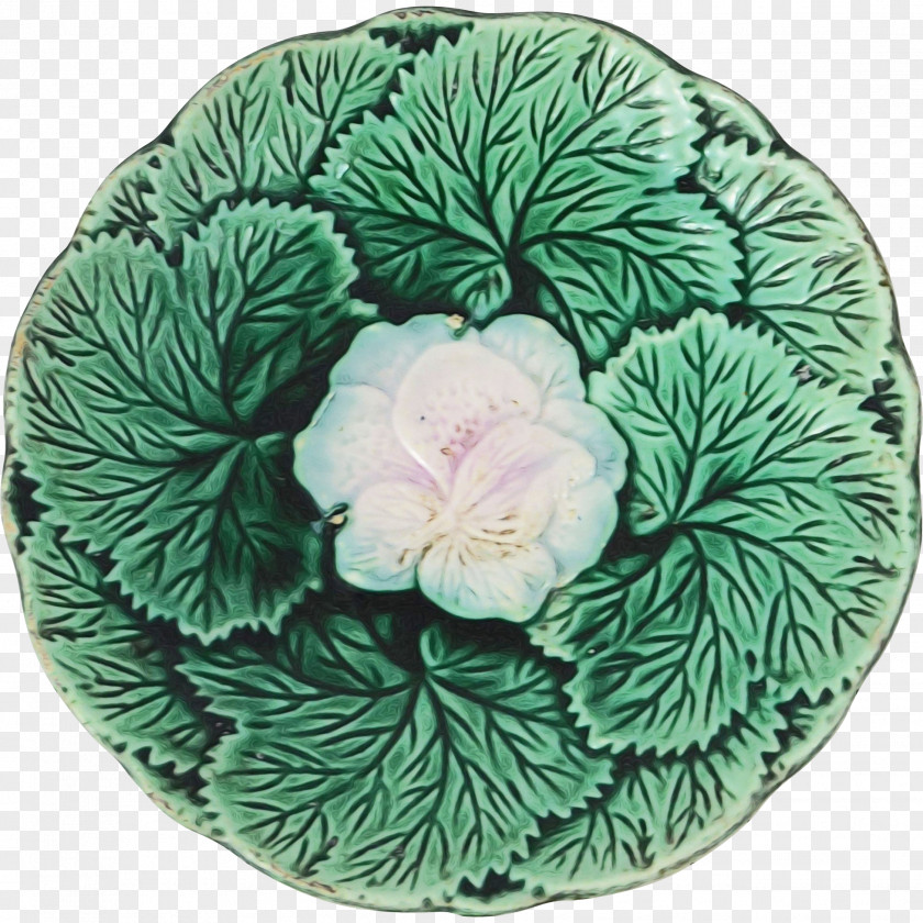 Platter Flower PNG